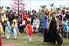 Thumbnail of Photo Number 5918